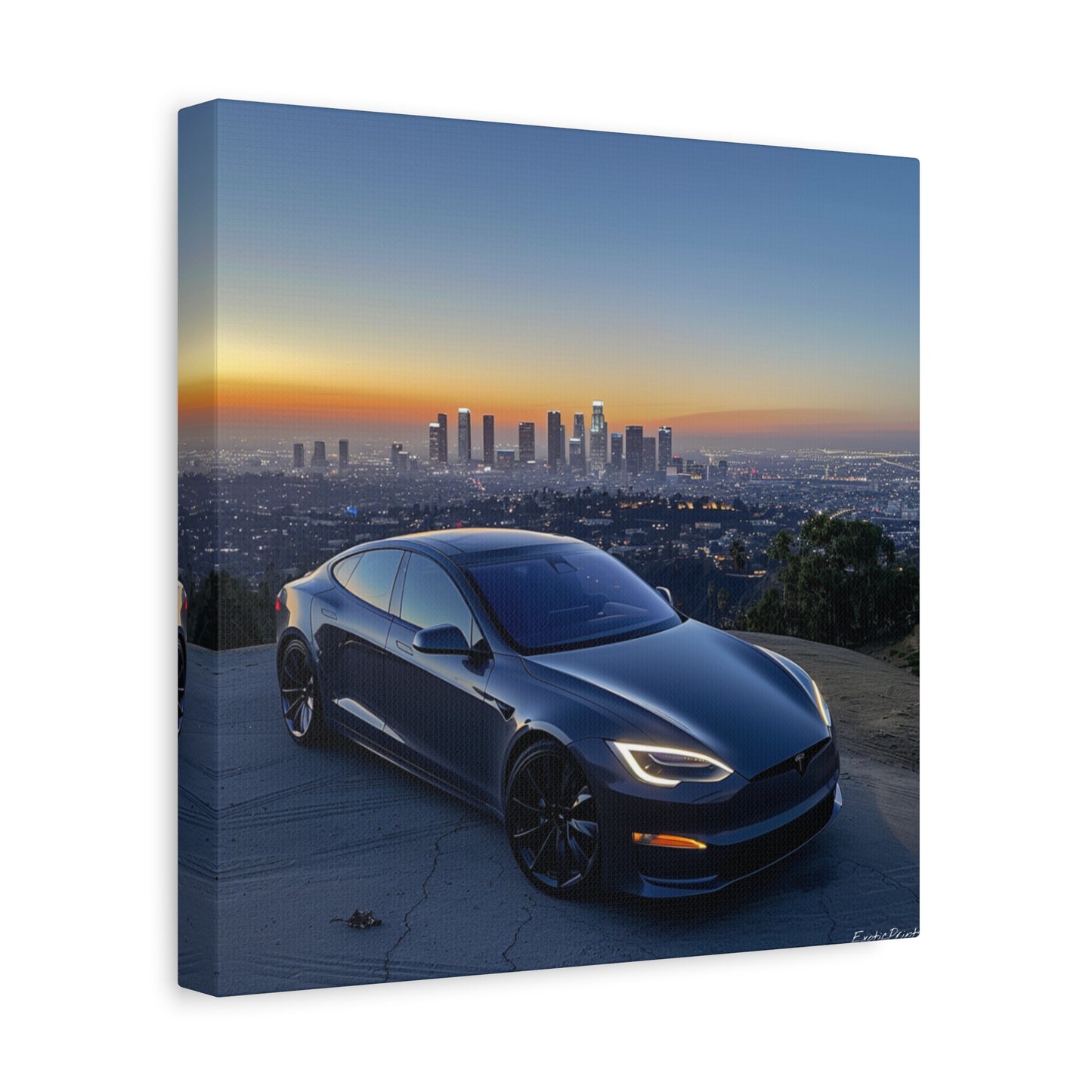 Tesla S