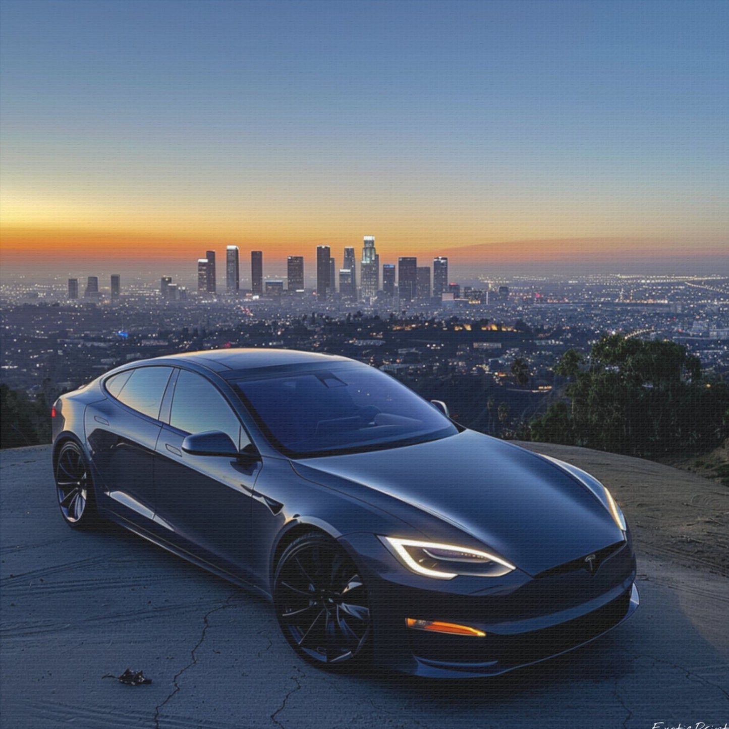 Tesla S